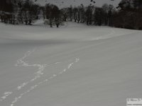 2026-03-21 Monte Ginepro 090